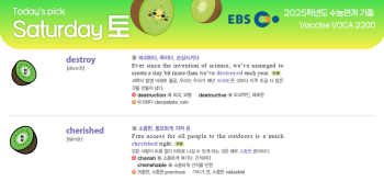 2026년 2월 14일 토요일 Today's Pick