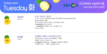 2026년 2월 17일 화요일 Today's Pick