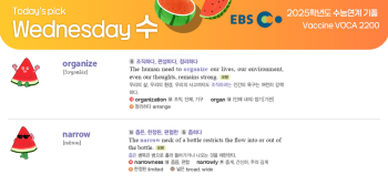 2026년 2월 25일 수요일 Today's Pick